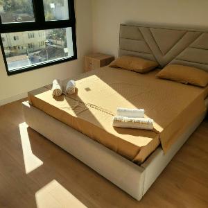 Tedi's Nest