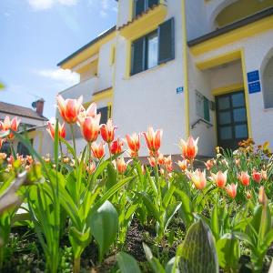Apartments Matosevic