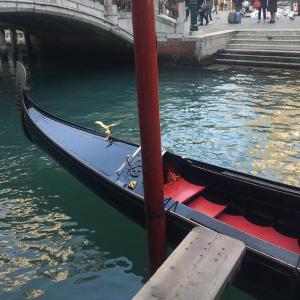 VeniceRelax Gardenclass