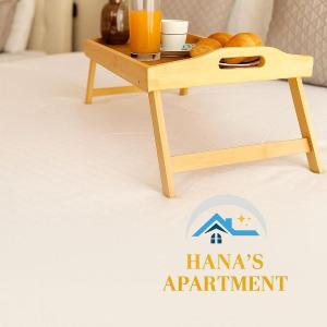 Hana's Apartment