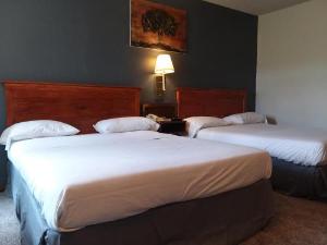 Americas Best Value Inn Laramie, Laramie