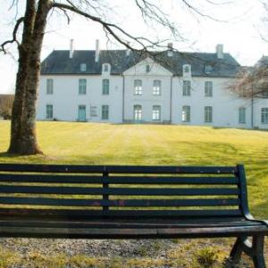 Surprenantes - Château du Pé