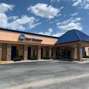Best Western Greenville Airport Inn