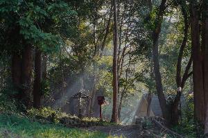 Sappraiwan Elephant Resort&Sanctuary, Phitsanulok