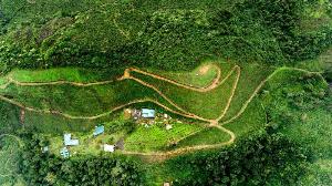 Camelot Resort, Munnar