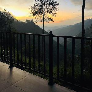 Belmount Ella