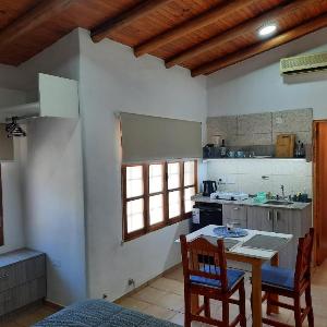 Pehuenche Monoambiente