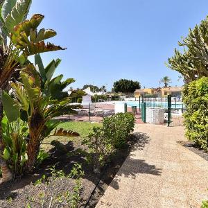 Playa Flor 77 by VillaGranCanaria