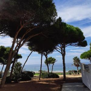 Apartamento Exclusivo Con Vistas