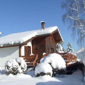 Comfy chalet with dishwasher in the High Vosges