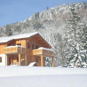 Comfy chalet with a dishwasher in the High Vosges