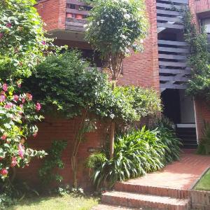 Green Garden & Balcon Cañada Strongest