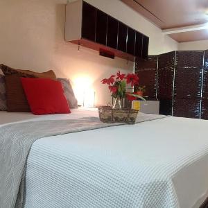 Comodo acogedor y con salida independiente