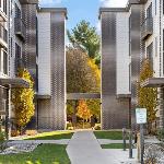 Capri 001 and 002 - TWO Garden Level Condos in Downtown Traverse City