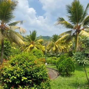 Yaya Estate