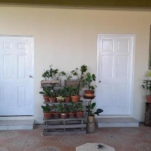 Michael's place