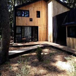 Bosque Cipreses Sur
