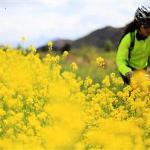 Bike Lijiang Lodge & Club