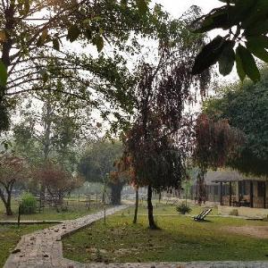 Lumbini Buddha Garden Resort