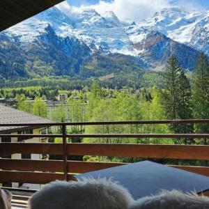Charming T3 with terrace in Chamonix