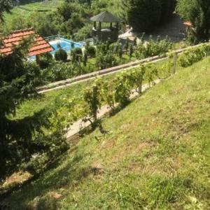 Etno House Raško