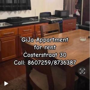 Cozy two bedroom Apartment GiJa