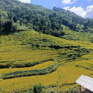 Homestay Nui Da Ta Phin