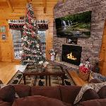 Wonderland Dream By Colonial Properties
