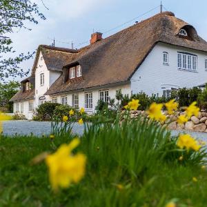 Groot's Hüs – Wohnung 2 »Vogelgezwitscher«