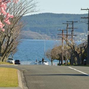 Happiness is Huia a block from the lake