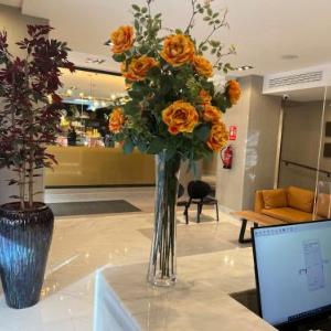 Hotel Avenida Gran Via