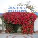 Ackerman Grand Ballroom Hotels - Rest Haven Motel