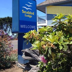 Seabird Lodge Fort Bragg