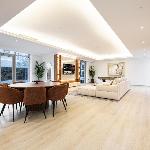 The Luxury Downtown Co-living