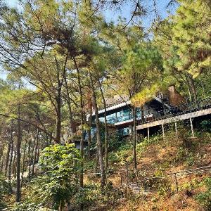 DE'BAY VILLA - Stone house in the forest