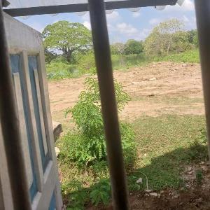Soluna Eco Stay