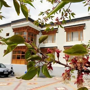 Sixteen Arahat guest house