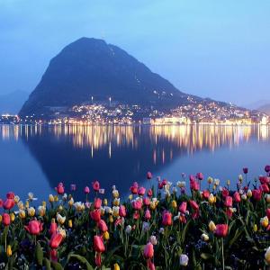 Luxury Apartment The DOM Lugano