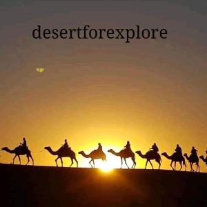 Desert forexplore luxury camp