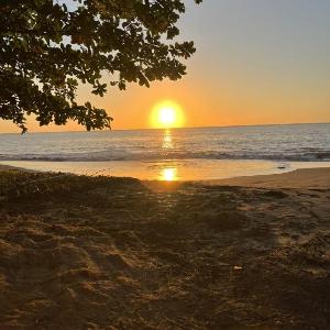 Oceanfront Retreat w- Terrace Direct access to Beach & BBQ