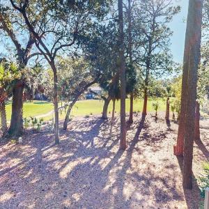 5 Water Oak
