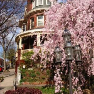 Wilson House Bed & Breakfast
