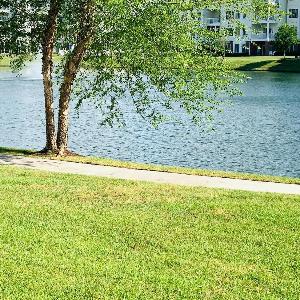 Astonishing view great condo at Myrtlewood Villas