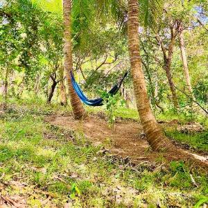 Hakuna Matata Hostel