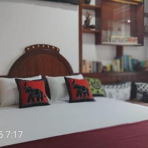 Solo Nest - Ella Sri Lanka