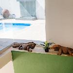 Cape Joy - BRAND NEW luxury villa just rolled out in Cape Town Plattekloof Cape Town 