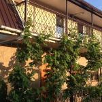 Guest accommodation in Anapa 