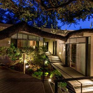 Frame Hotel - Treehouse