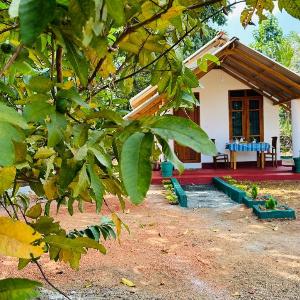 Little Haven Cottage