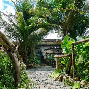 surfhouse pavones